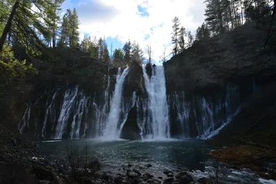 DSC_5955 (Large).JPG